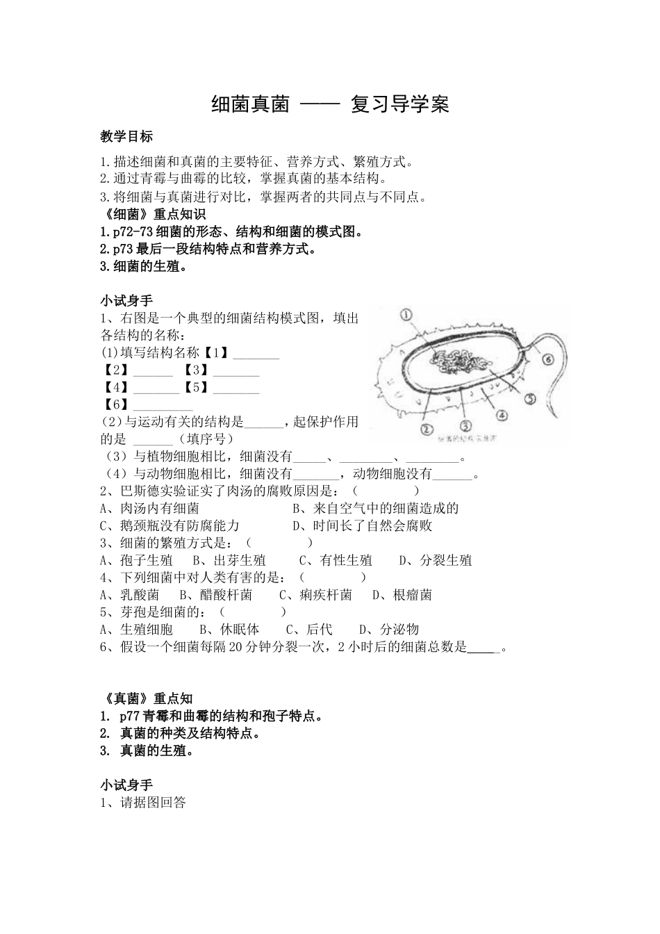 细菌真菌复习导学案_第1页