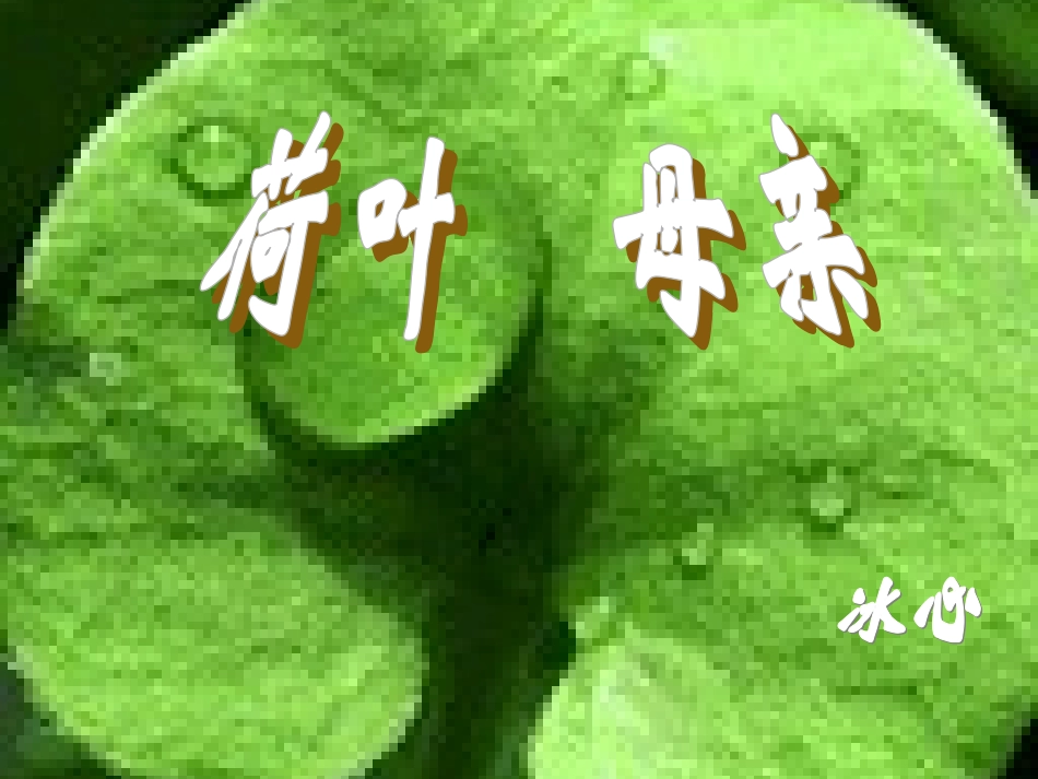 史丽琴荷叶母亲_第2页
