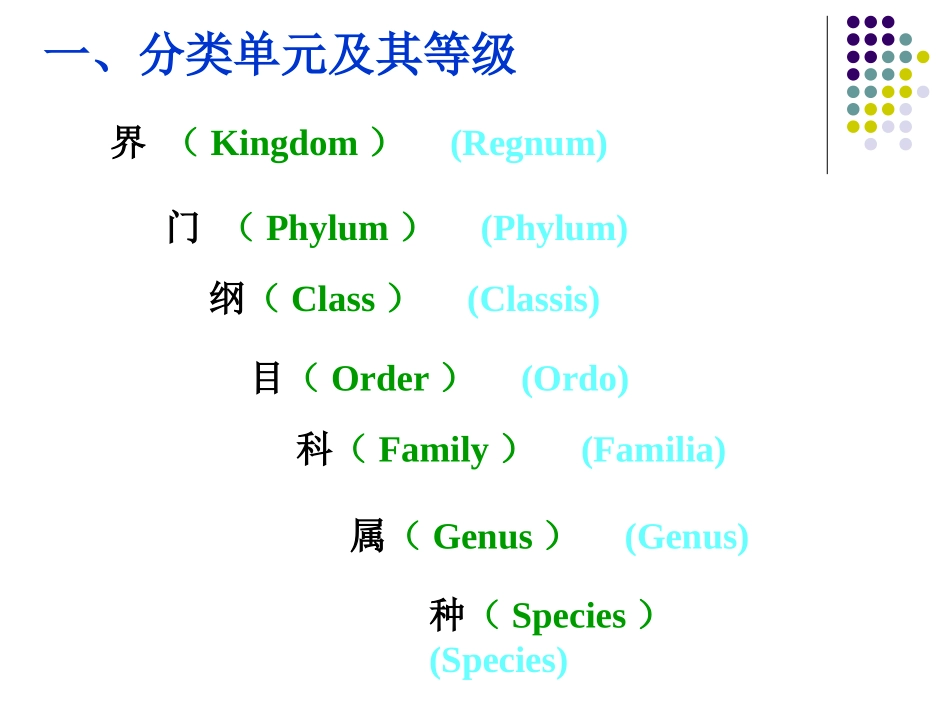 细菌分类与鉴定_第3页