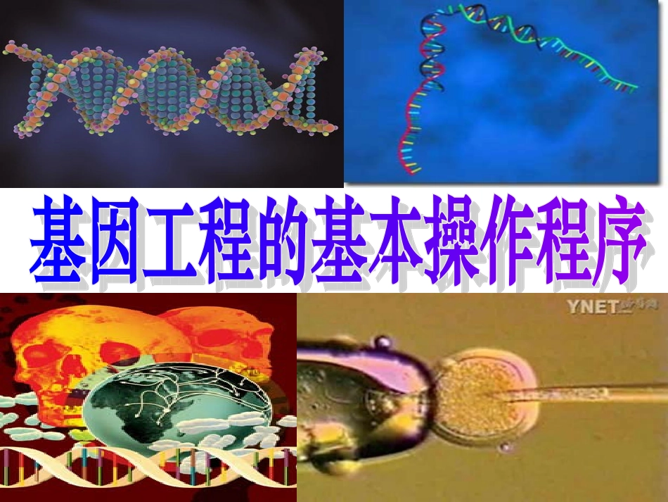 基因工程的基本操作程序_第1页