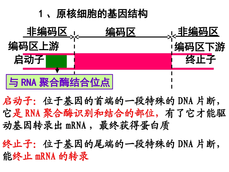 基因工程的基本操作程序_第2页