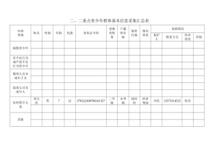 二、二重点青少年群体基本信息采集汇总表