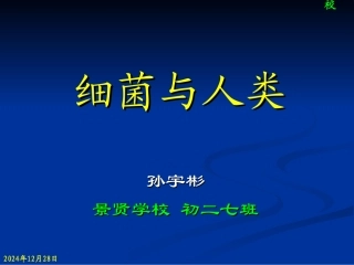 细菌与人类的关系0