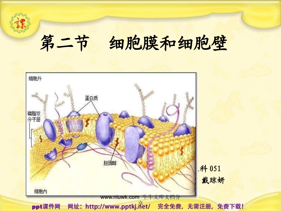 细胞膜和细胞壁_第2页