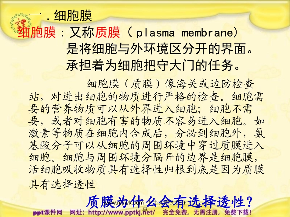 细胞膜和细胞壁_第3页