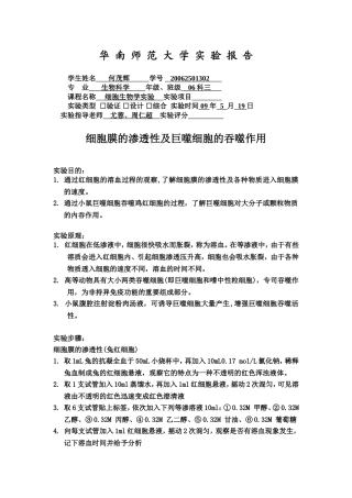 细胞膜的渗透性及巨噬细胞的吞噬作用