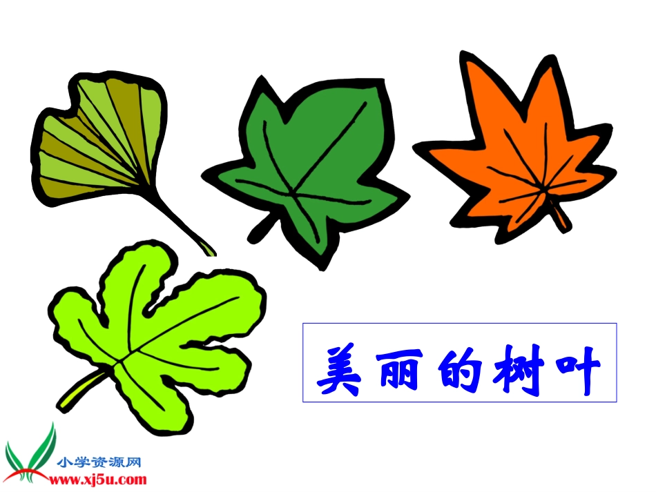 （苏教版）三年级数学下册课件轴对称图形4_第3页