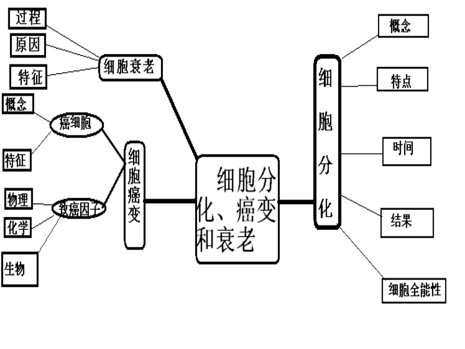 细胞结构与功能(五)细胞的分化、癌变和衰老_第2页