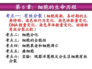 细胞的生命历程复习课