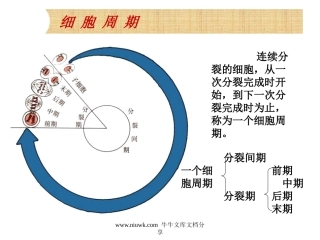 细胞的增殖癌变和衰老
