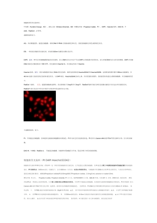 细胞核荧光染料