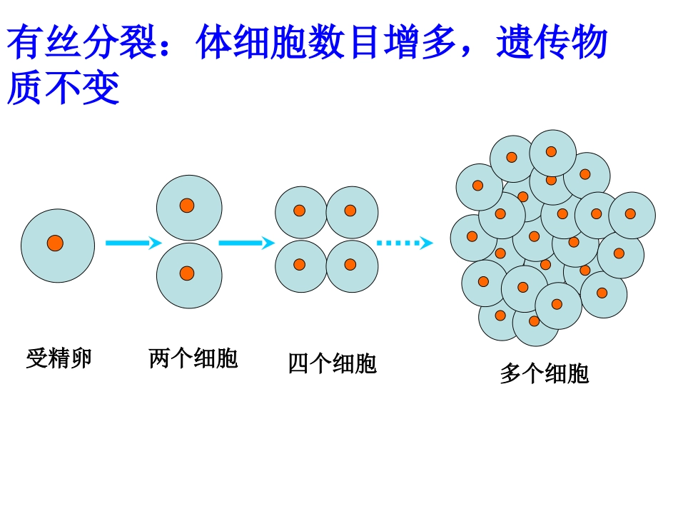 细胞的分化癌变_第2页