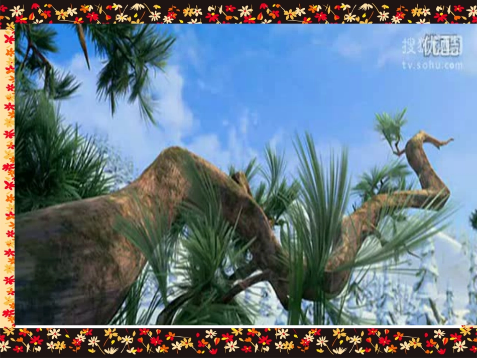 跑进家来的松树_第1页