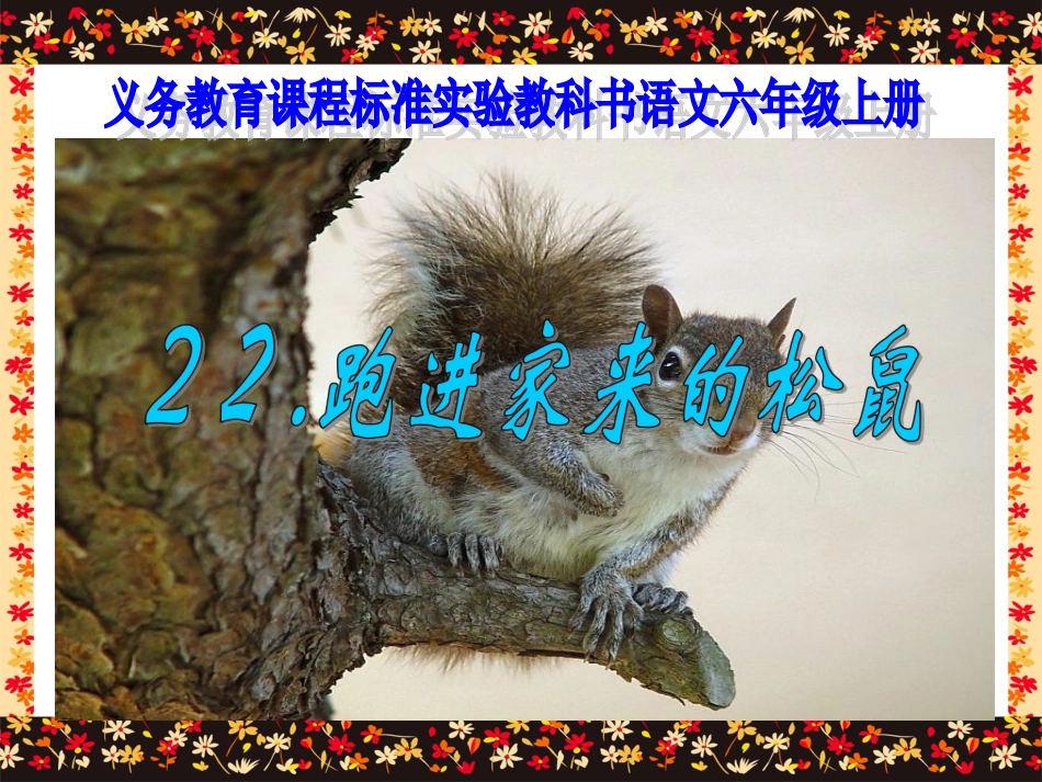 跑进家来的松树_第2页