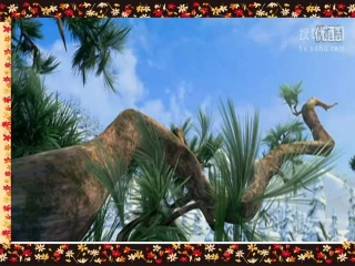 跑进家来的松树