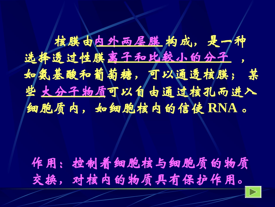 细胞核结构和功能_第3页