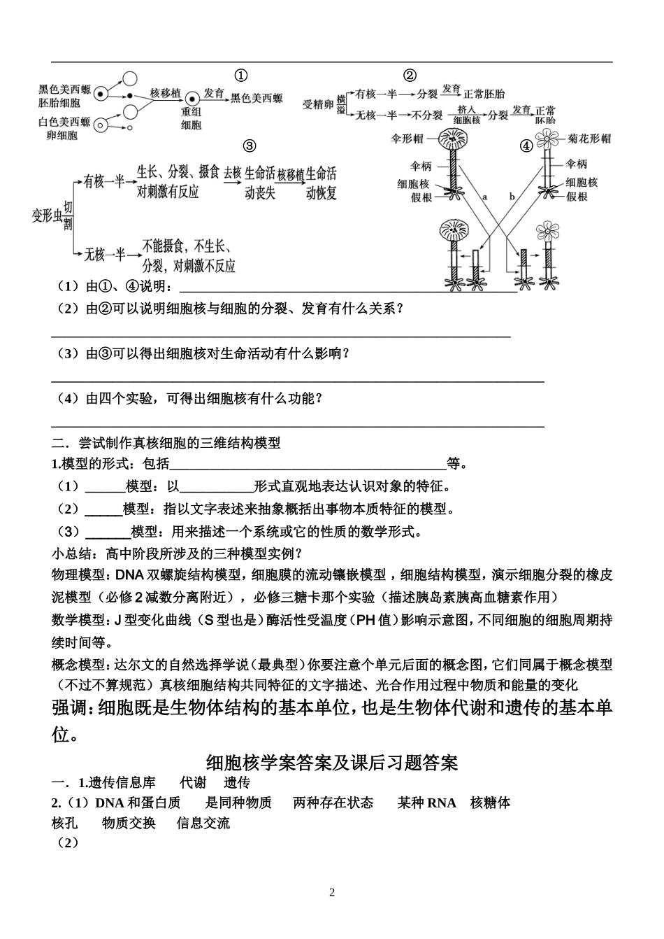 细胞核的结构和功能学案_第2页