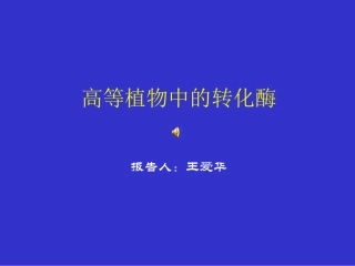 细胞壁转化酶