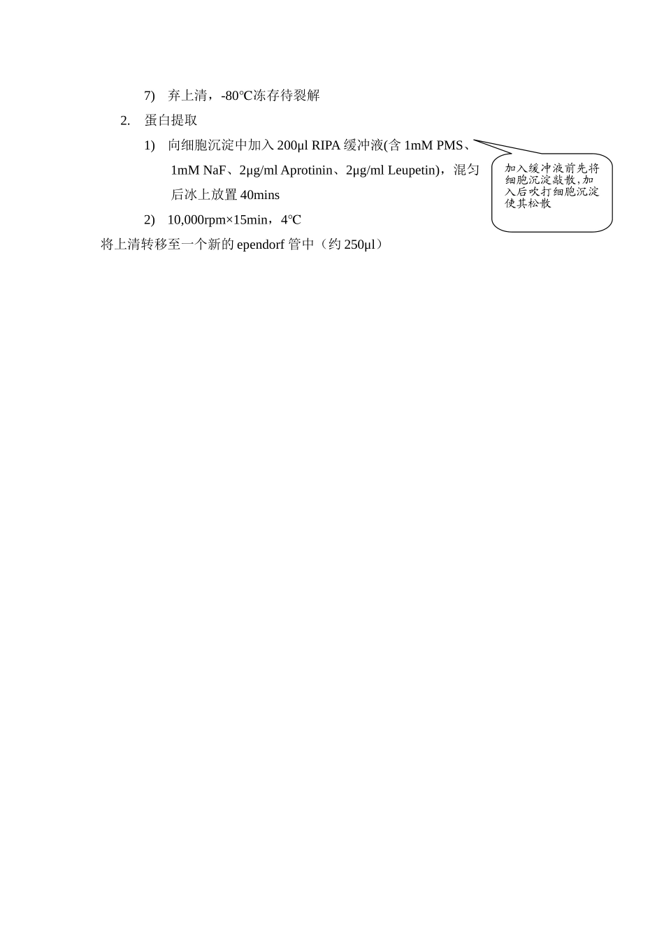 细胞总蛋白提取方法_第2页