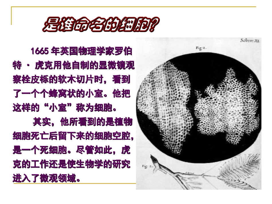 细胞学-建立过程综述_第2页