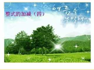 整式的加减（四）