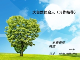 四年级下册语文园地三习作指导