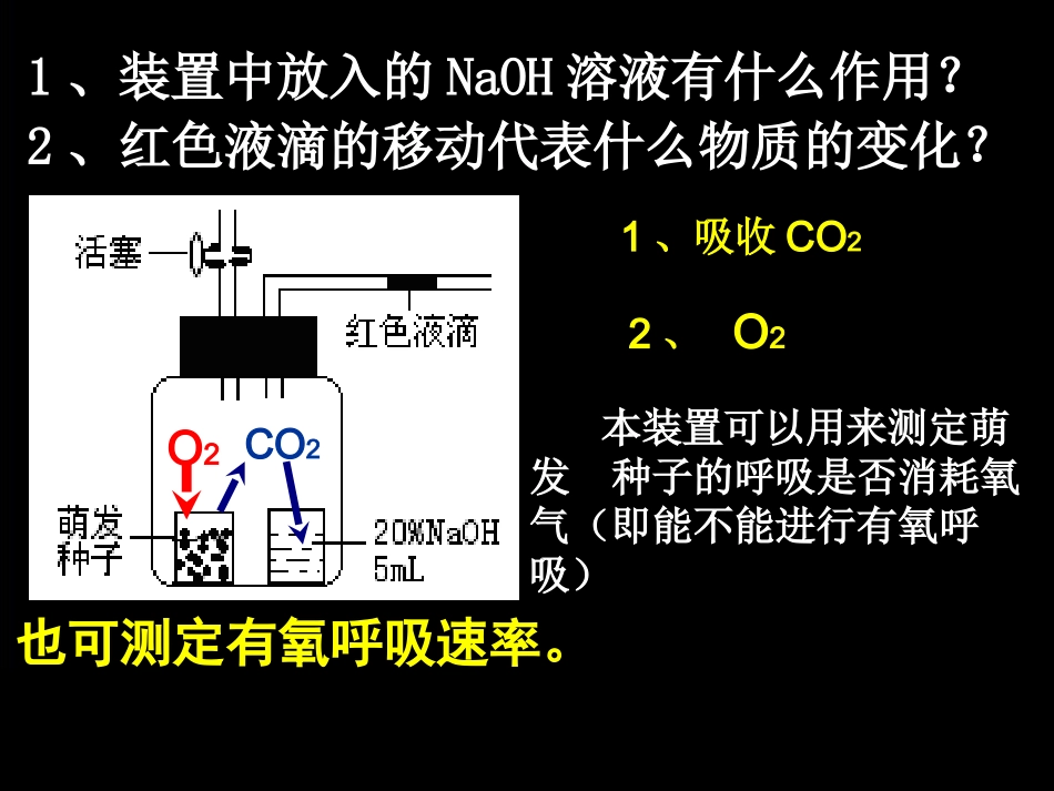 细胞呼吸方式的判断_第2页