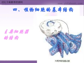 细胞器的结构与功能