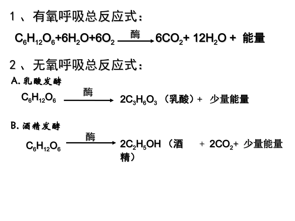 细胞呼吸及光合作用_第2页