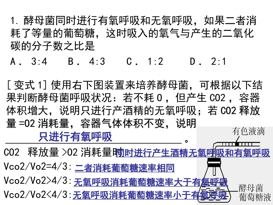 细胞呼吸及光合作用_第3页