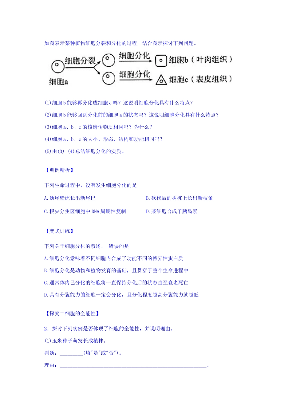 细胞分化导学案_第3页