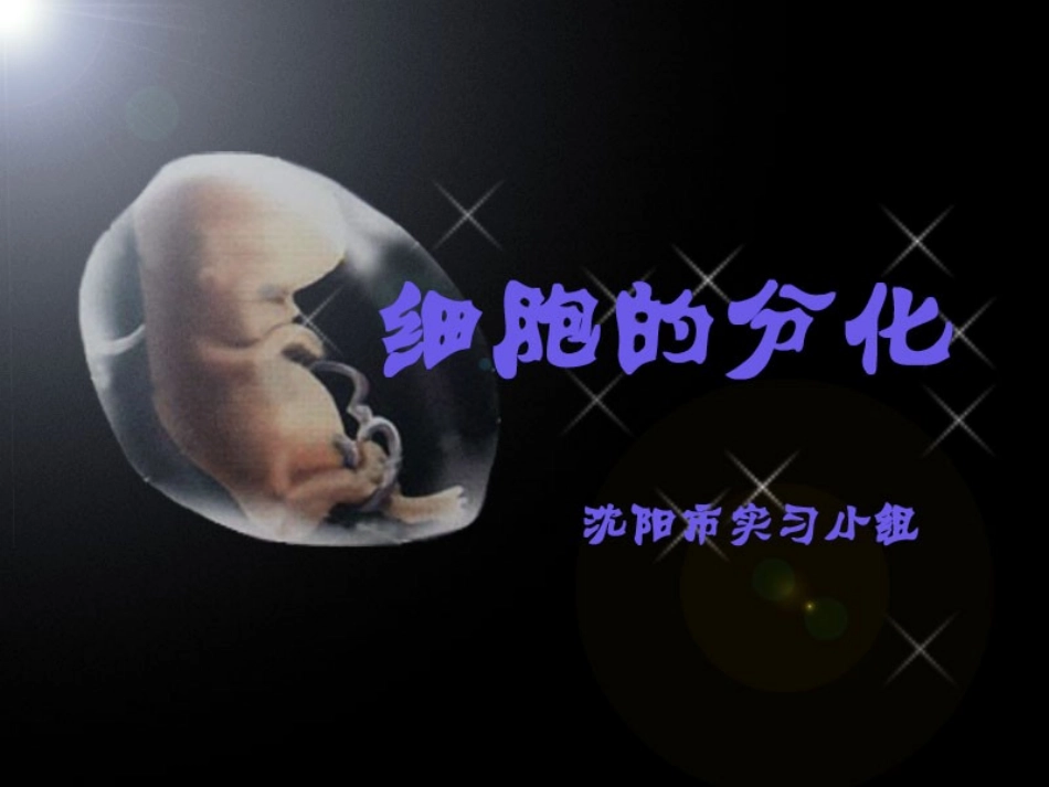 细胞分化说课PPT_第1页