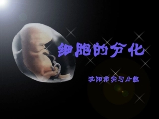 细胞分化说课PPT