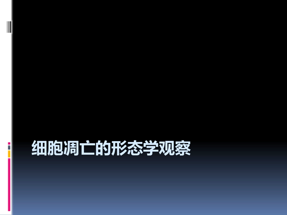细胞凋亡形态学观察_第1页
