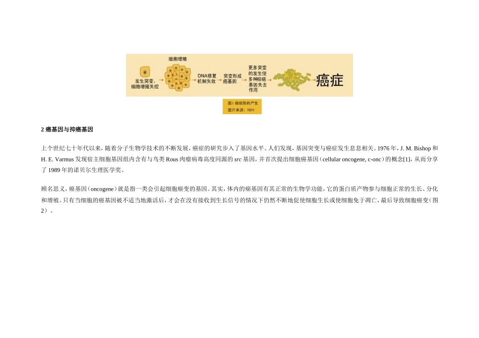 细胞信号通路与癌症发生文档_第3页