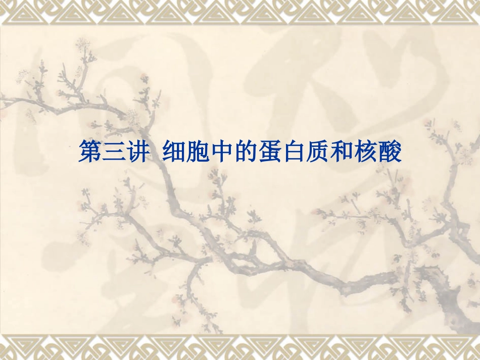 细胞中的蛋白质和核酸_第1页