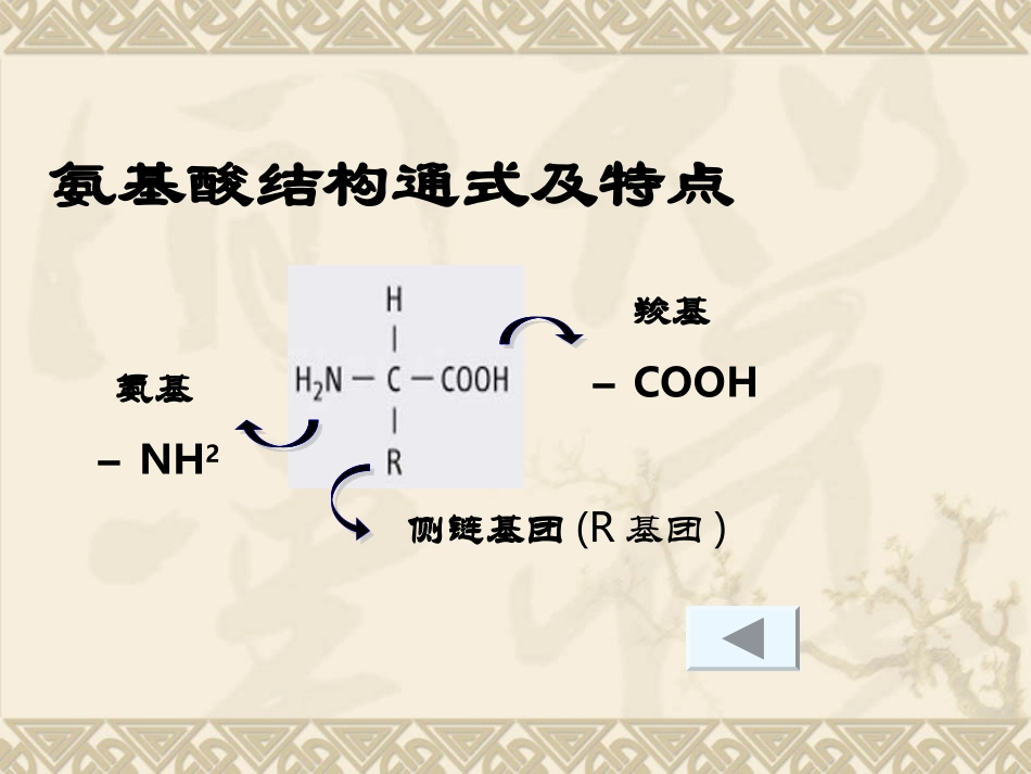 细胞中的蛋白质和核酸_第3页