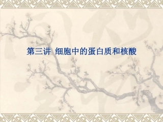 细胞中的蛋白质和核酸