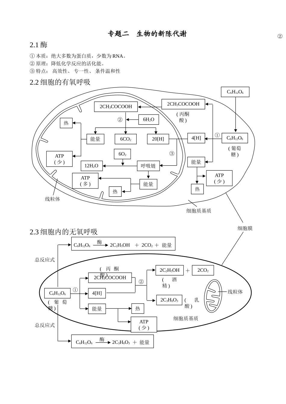 细胞代谢基础知识点_第1页