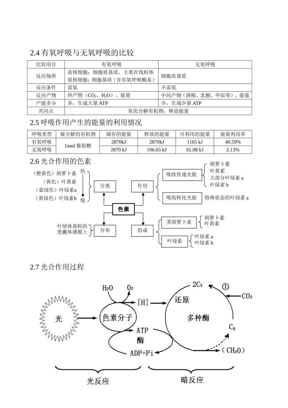 细胞代谢基础知识点_第2页