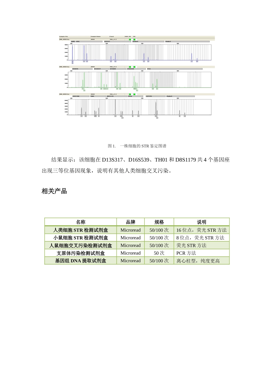 细胞STR鉴定_第3页