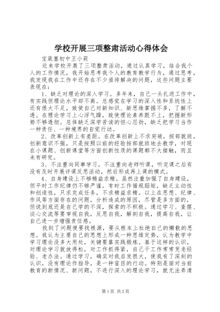 学校开展三项整肃活动心得体会 