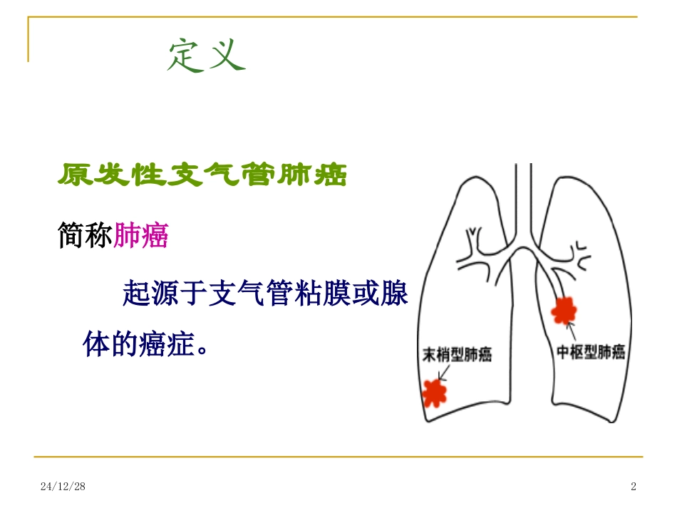 纤维支气管镜_第2页