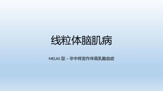 线粒体脑肌病PPT