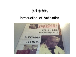 第四讲 抗生素概述