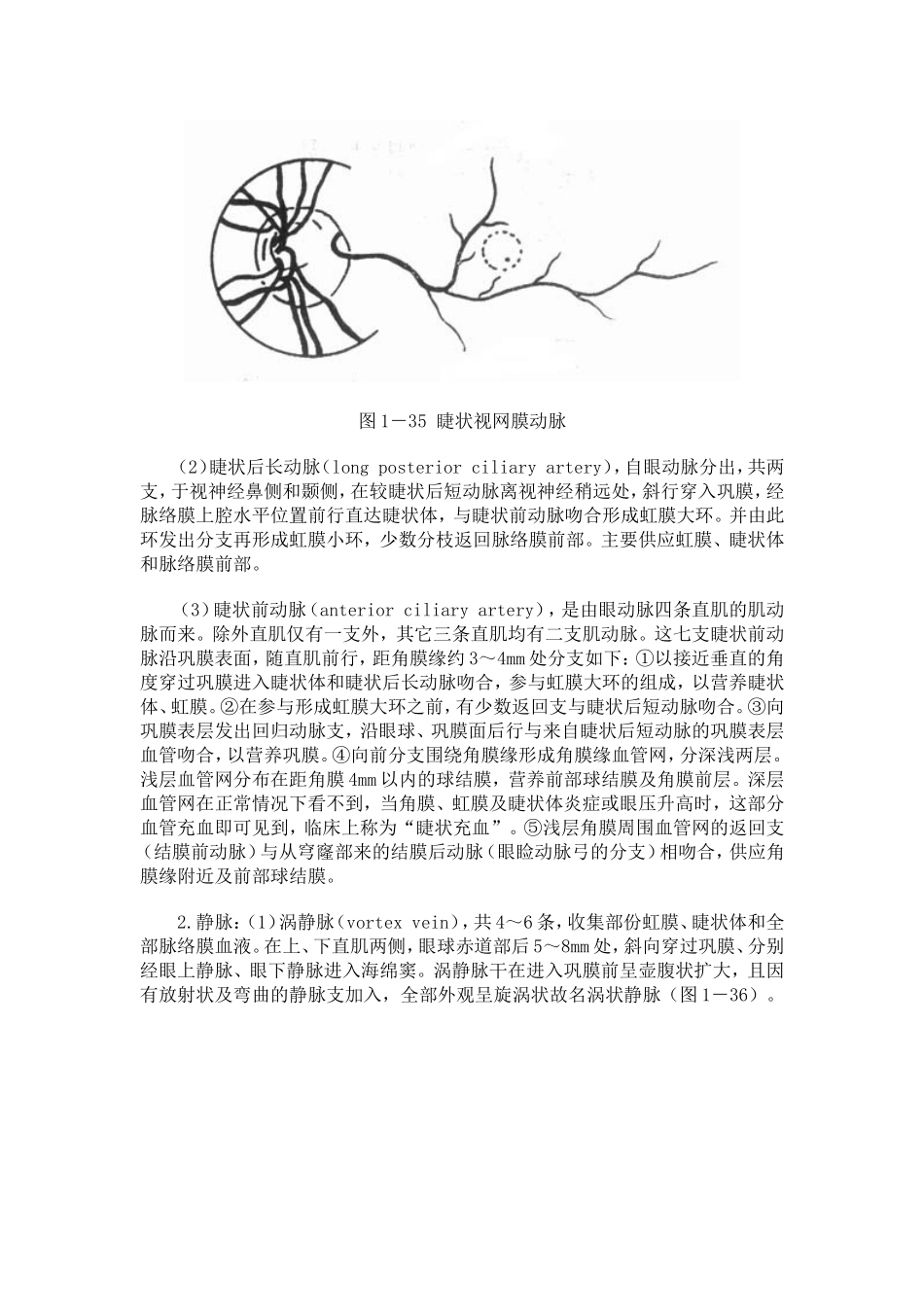 第四节 眼部血液供给及神经支配_第3页