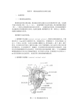 第四节 眼部血液供给及神经支配