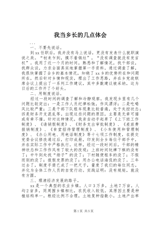 我当乡长的几点体会 