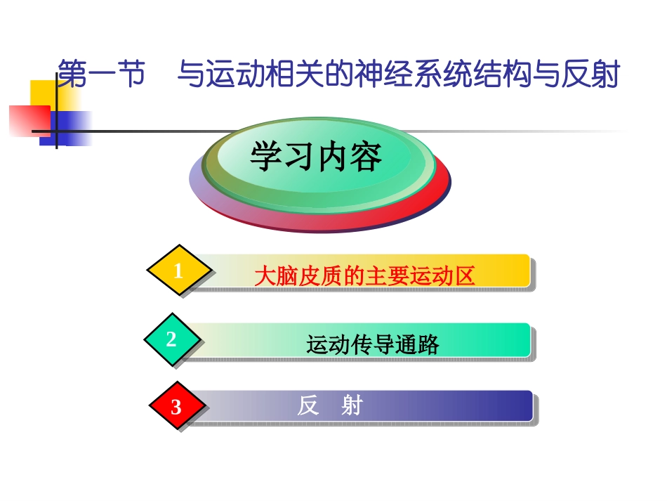 第四章 运动控制与步态 第一节 运动传导通路_第3页