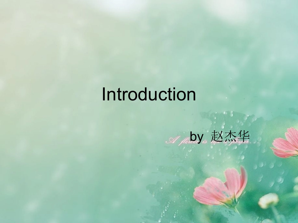 第四章-翻译方法-纽马克_第2页